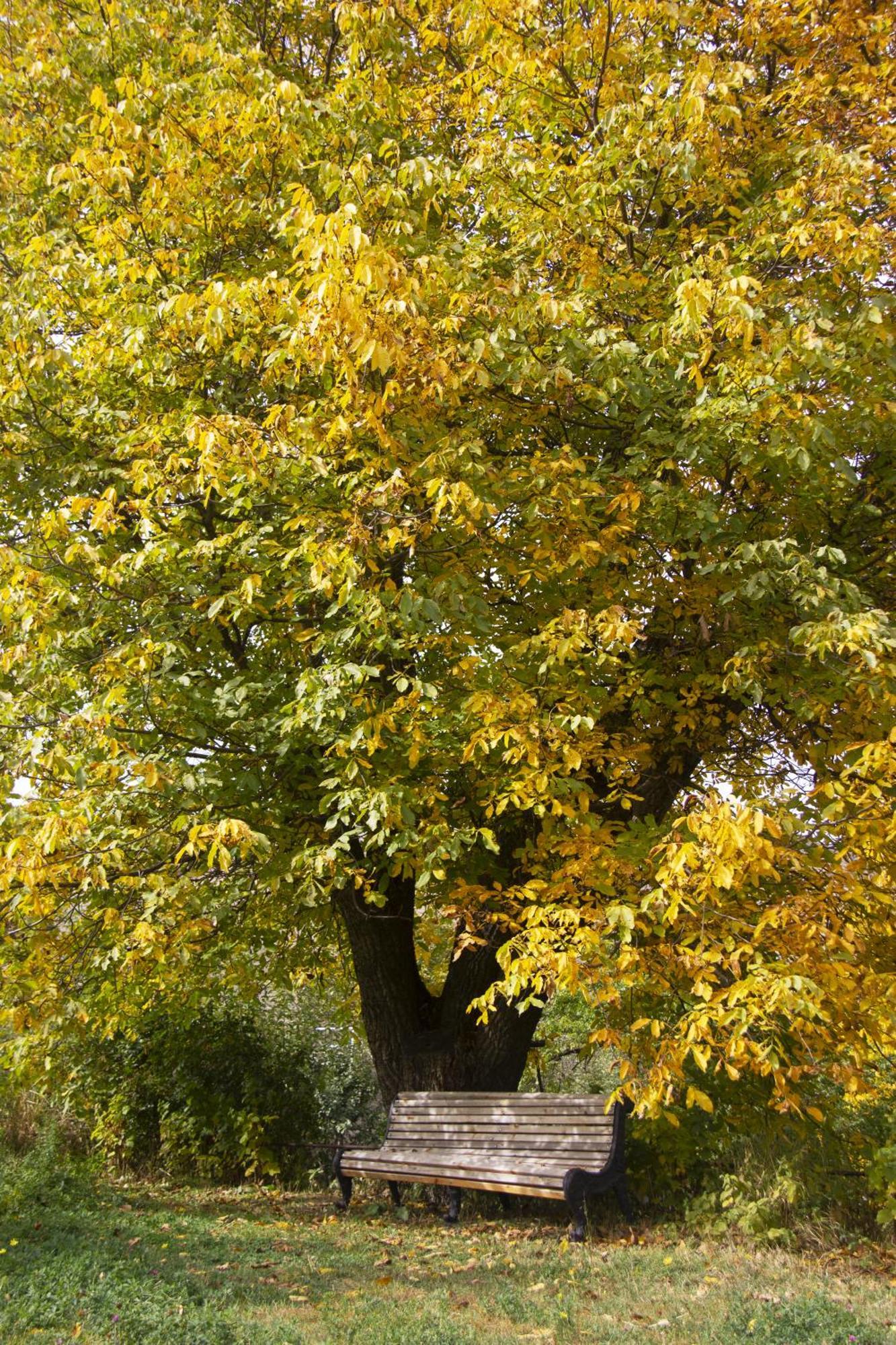 Zove Rural Cottage With Garden Views K'arashamb Kültér fotó